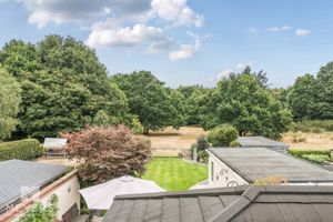 Rear Views- click for photo gallery
